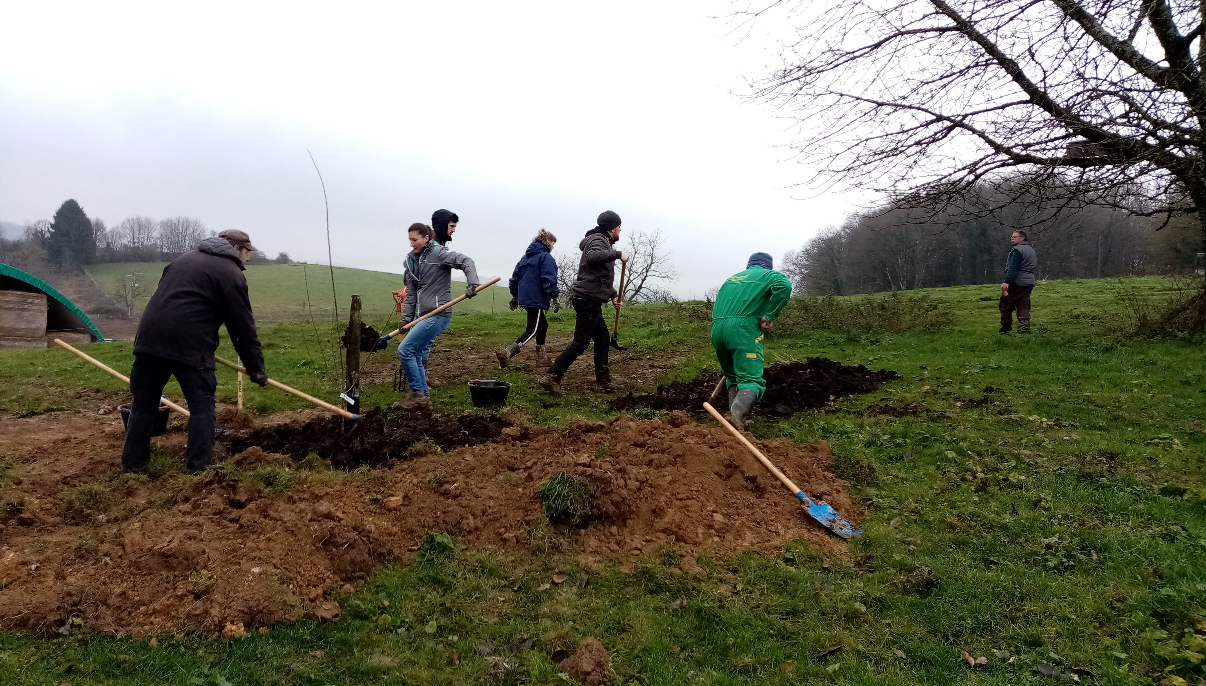 Chantier d'arrachage et de ramassage du lagarosiphon à Appoigny